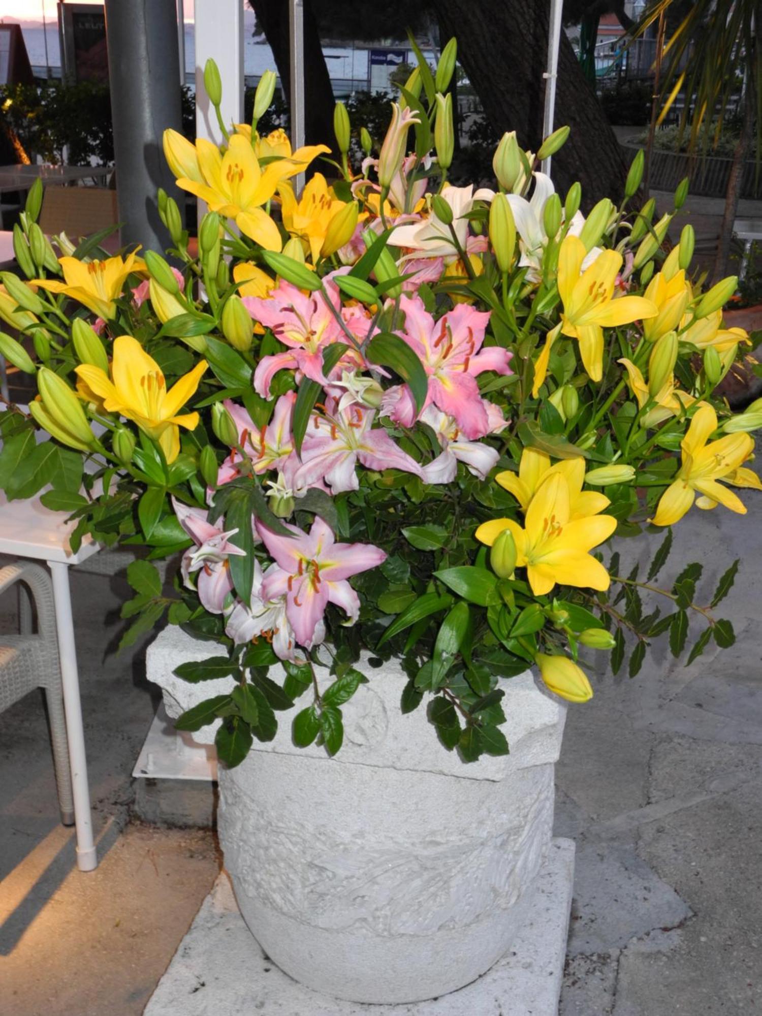 Apartment Dora ซัฟทัท ภายนอก รูปภาพ